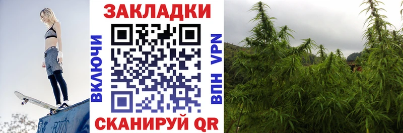 Каннабис Гусев