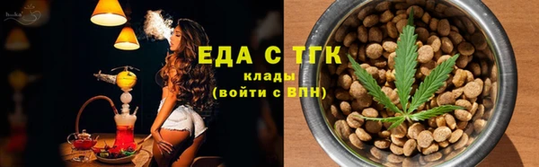дживик Верхний Тагил