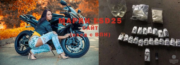дживик Верхний Тагил