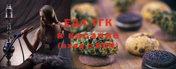 дживик Верхний Тагил