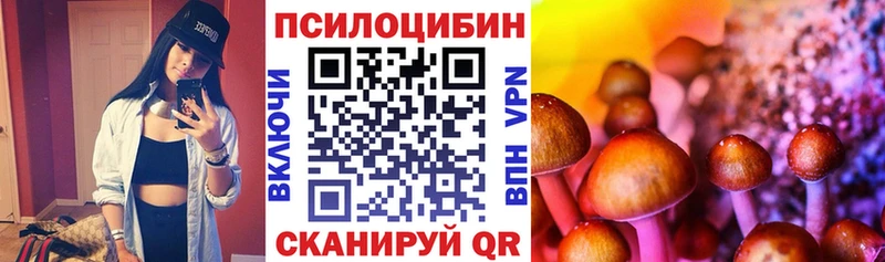 Псилоцибиновые грибы Cubensis  мориарти состав  Гусев 